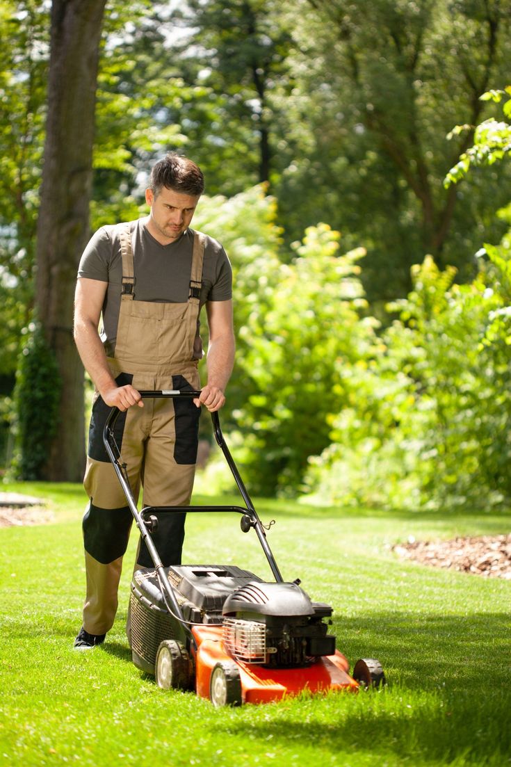 Lawn Mowers