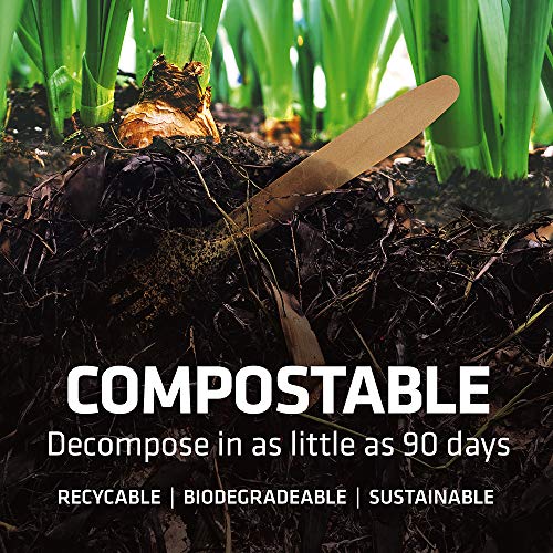 Bamboo Spoons 100 Pack 6.5in Compostable Cutlery